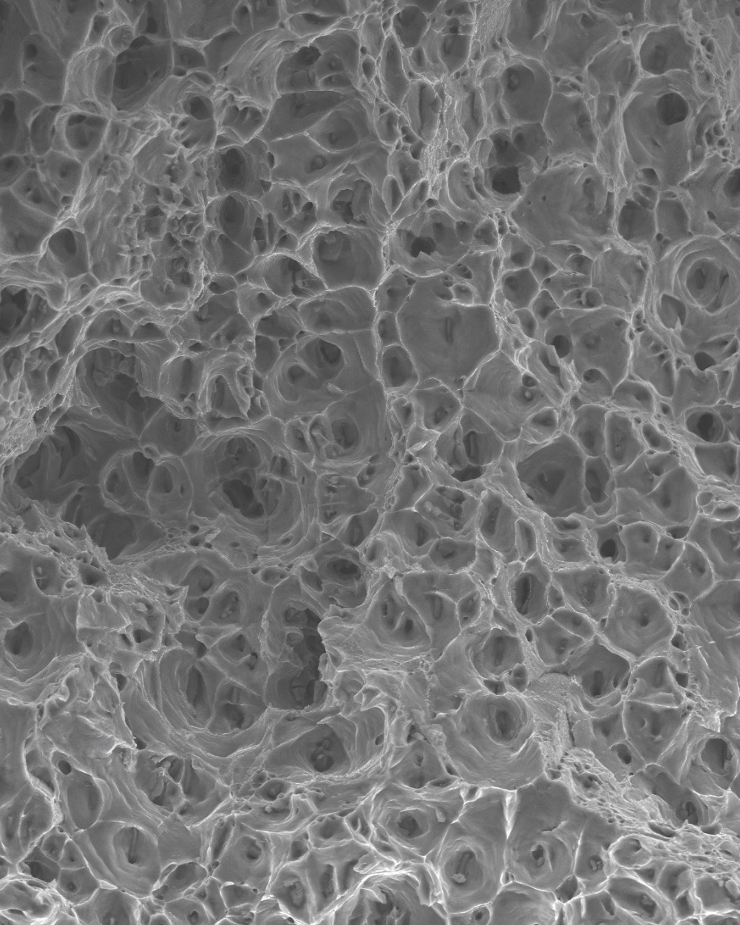 Muestra de metal observada al microscopio